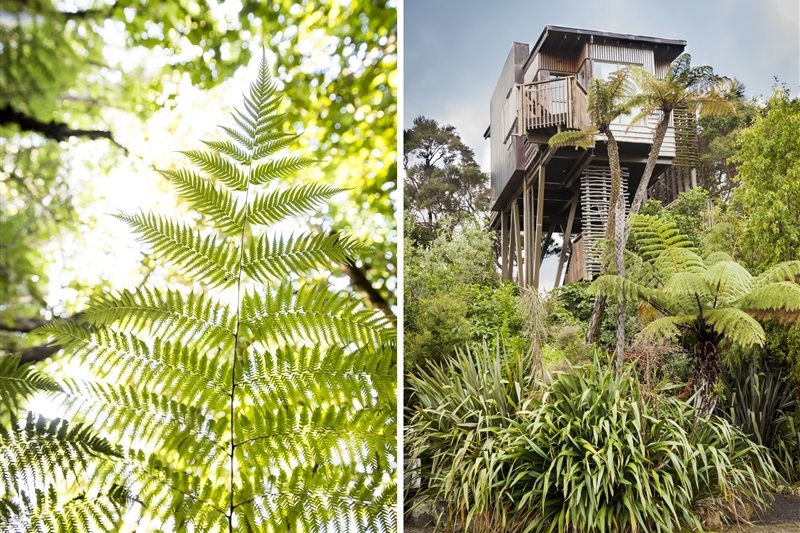 Hapuku Lodge & Tree Houses