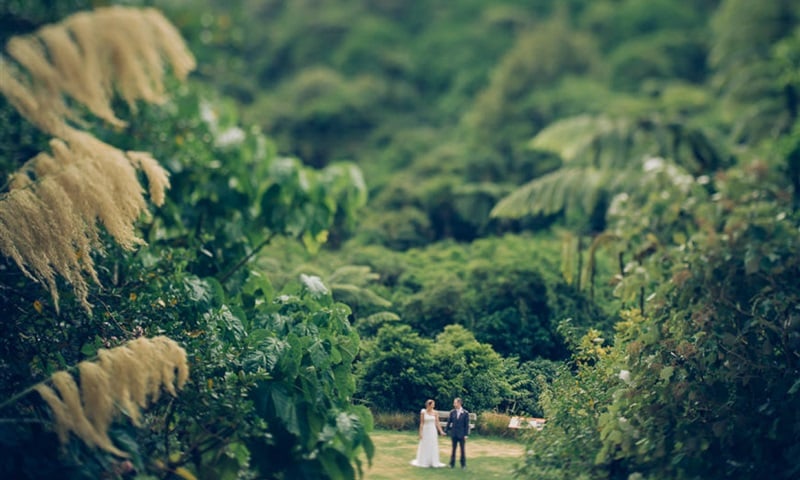 Zealandia Te Māra a Tāne